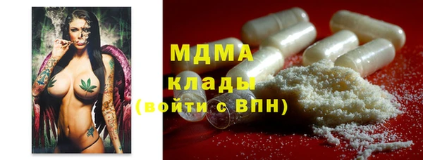 PSILOCYBIN Алзамай