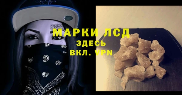 PSILOCYBIN Алзамай