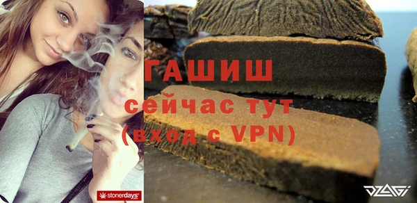 PSILOCYBIN Алзамай