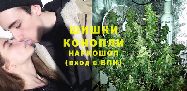 PSILOCYBIN Алзамай