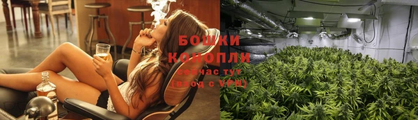 ГАЛЛЮЦИНОГЕННЫЕ ГРИБЫ Алексеевка