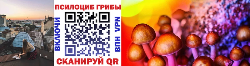 hydra ссылки даркнет сайт Данков Псилоцибиновые грибы Magic Shrooms