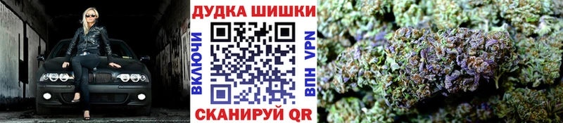 где можно купить наркотик KRAKEN ссылки МАРИХУАНА сатива Данков